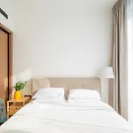 Brand New Fully Furnished